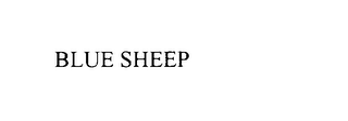 BLUE SHEEP