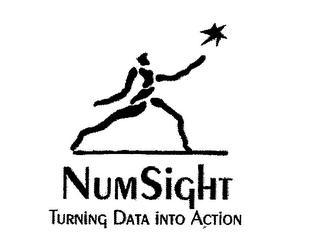 NUMSIGHT TURNING DATA INTO ACTION
