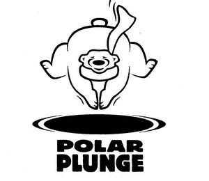 POLAR PLUNGE