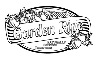 GARDEN RIPE NATURALLY RIPENED TOMATOES