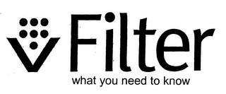 V FILTER WHAT YOU NEED TO KNOW