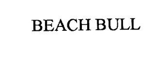 BEACH BULL