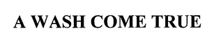 A WASH COME TRUE
