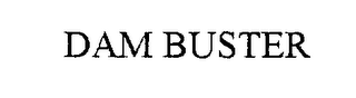 DAM BUSTER