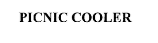 PICNIC COOLER