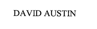 DAVID AUSTIN