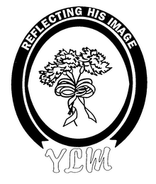 YLM REFLECTING HIS IMAGE
