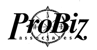 PROBIZ ASSOCIATES