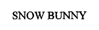 SNOW BUNNY