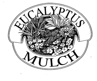 EUCALYPTUS MULCH