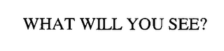 WHAT WILL YOU SEE?