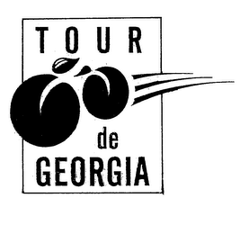 TOUR DE GEORGIA