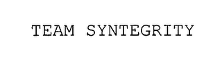 TEAM SYNTEGRITY