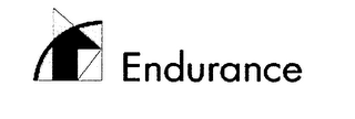 ENDURANCE