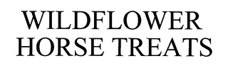 WILDFLOWER HORSE TREATS