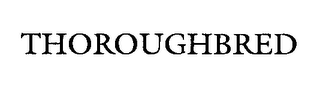THOROUGHBRED