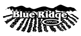 BLUE RIDGE APPLES