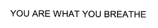 YOU ARE WHAT YOU BREATHE
