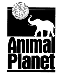 ANIMAL PLANET