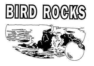BIRD ROCKS