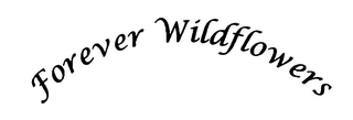 FOREVER WILDFLOWERS