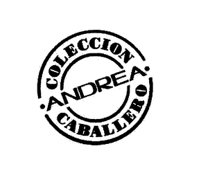 COLECCION ANDREA CABALLERO