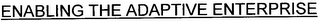 ENABLING THE ADAPTIVE ENTERPRISE