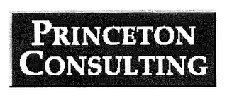PRINCETON CONSULTING