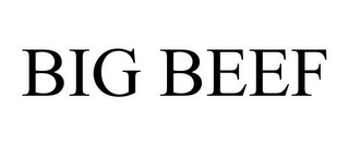 BIG BEEF