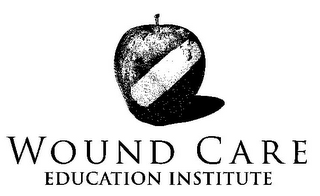 WOUND CARE EDUCATION INSTITUTE