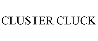 CLUSTER CLUCK