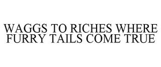 WAGGS TO RICHES WHERE FURRY TAILS COME TRUE