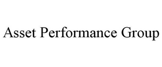 ASSET PERFORMANCE GROUP