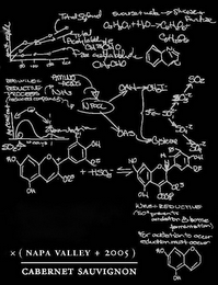 X (NAPA VALLEY + 2005 ) CABERNET SAUVIGNON
