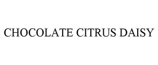 CHOCOLATE CITRUS DAISY