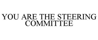 YOU ARE THE STEERING COMMITTEE