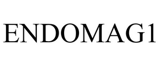 ENDOMAG1