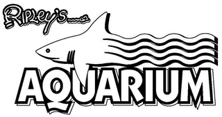 RIPLEY'S AQUARIUM