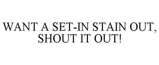WANT A SET-IN STAIN OUT, SHOUT IT OUT!