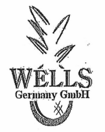 WELLS GERMANY GMBH