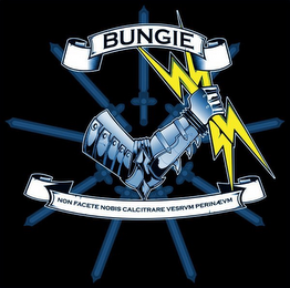 BUNGIE NON FACETE NOBIS CALCITRARE VESTRVM PERINAEVM