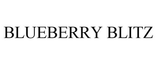 BLUEBERRY BLITZ