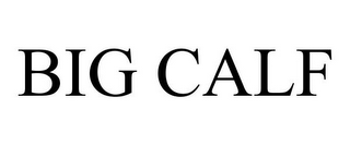 BIG CALF