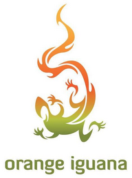 ORANGE IGUANA