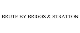 BRUTE BY BRIGGS & STRATTON