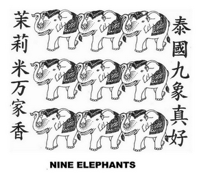 NINE ELEPHANTS