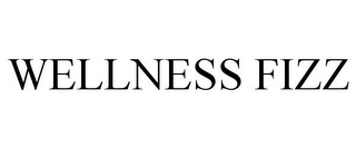 WELLNESS FIZZ