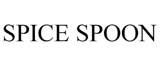 SPICE SPOON