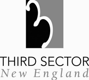 3 THIRD SECTOR NEW ENGLAND