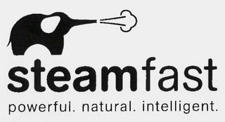 STEAMFAST POWERFUL. NATURAL. INTELLIGENT.